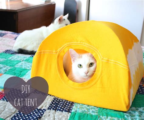 homemade cat tent plans.